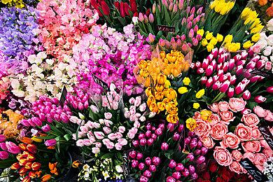 育碧公布免费大逃杀游戏《幽灵行动：火线》